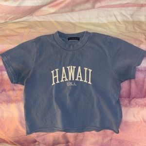 Brandy Melville Helen Hawaii Crop Top
